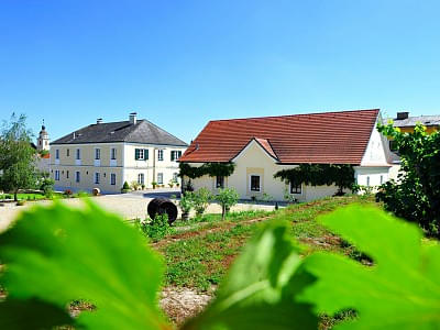 weingut_01.jpg