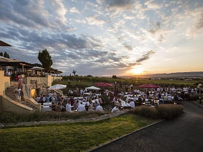 weingut_abendstimmung.jpg