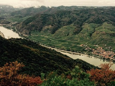 wildstueckgin_kamptal_wachau.jpg